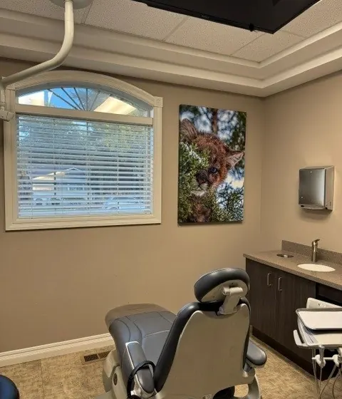 A care room at Times Square Dental with an arched window and a large wildlife photograph.